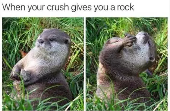 Funny Crush Rock