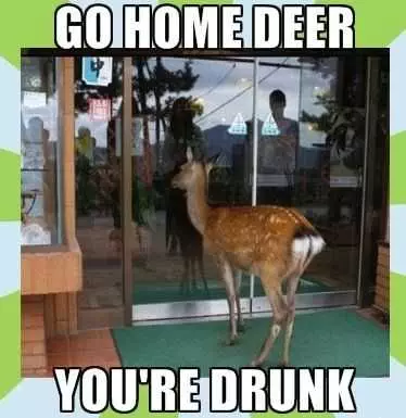 Funny Deer Drunk