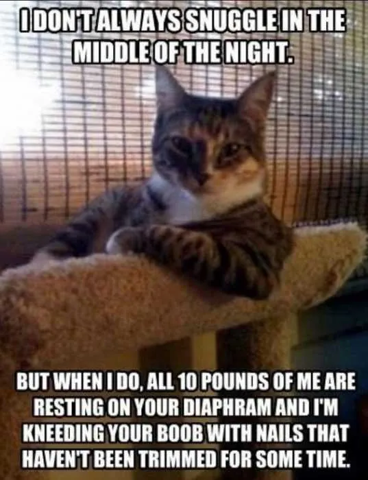 Funny Dont Always Snuggle