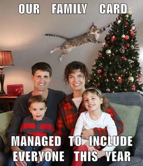 Funny Family Card