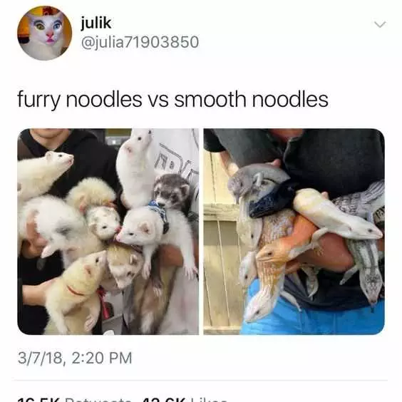 Funny Furry Noodles