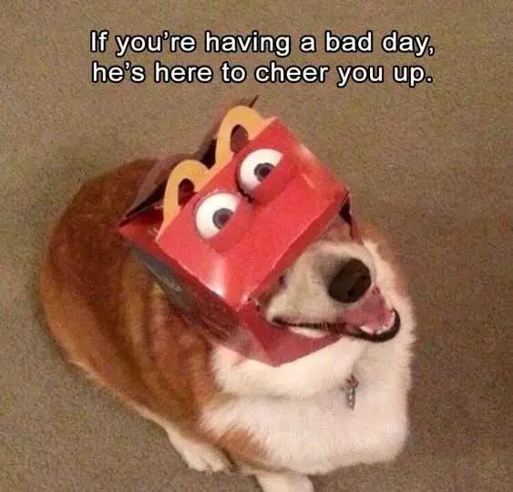 Funny Happy Meal