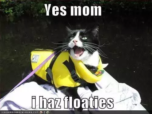 Funny Haz Floaties
