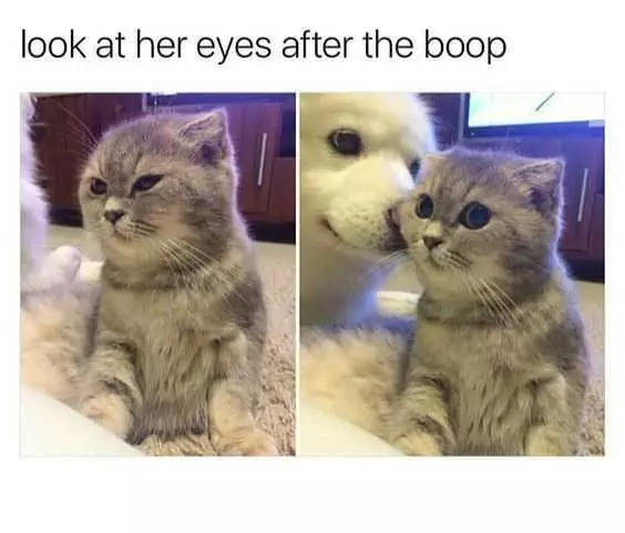 Funny Her Eyes