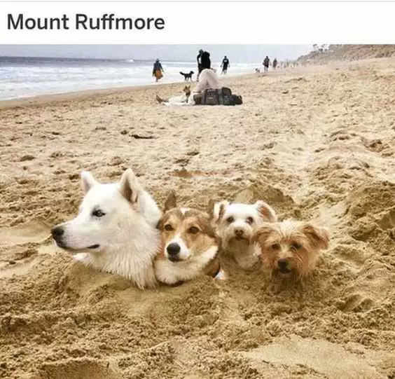 Funny Mount Ruffmore