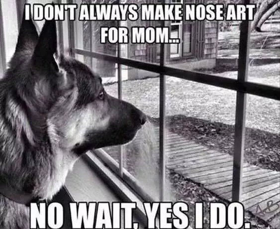 Funny Nose Art