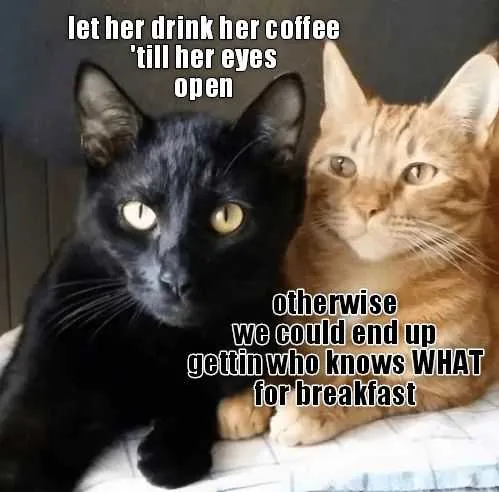Funny Otherwise Breakfast