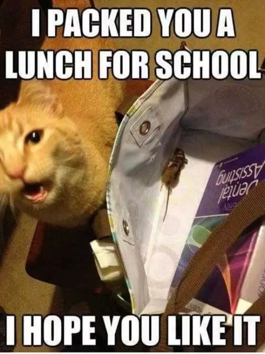 Funny Packed You A Lunch