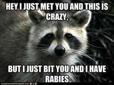 Funny Rabies