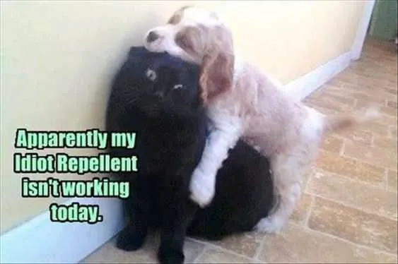 Funny Repellant