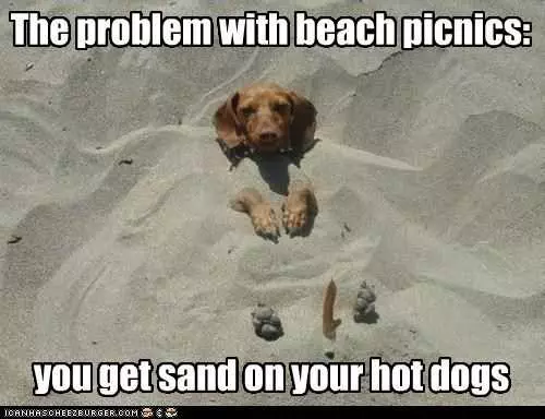 Funny Sand Hotdogs