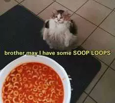 Funny Soop Loops