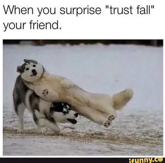 Funny Surprise Trust Fall