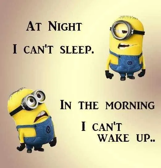 Minion Cant Sleep
