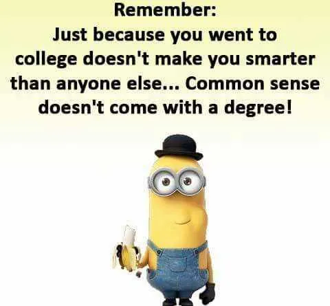 Minion College Degree