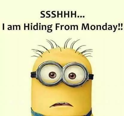Minion Hiding Monday