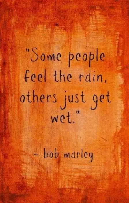Quote Feel Rain