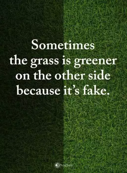 Quote Green Grass Fake