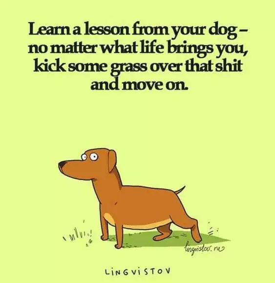Quote Learn From Dog