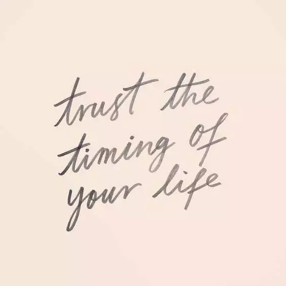 Quote Trust Timing Of Your Life