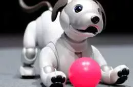 Sony Robotic Dog2