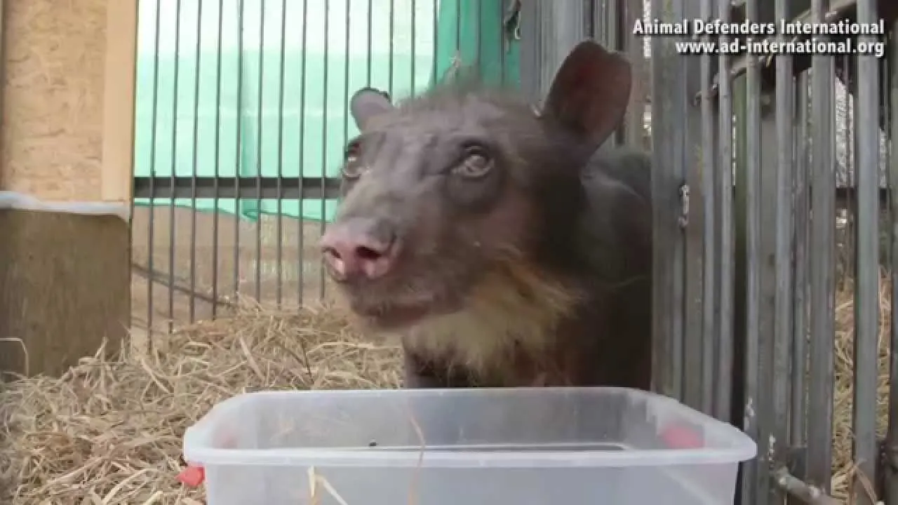 57Df5B565560E120B07810A6F0Ceb6C6