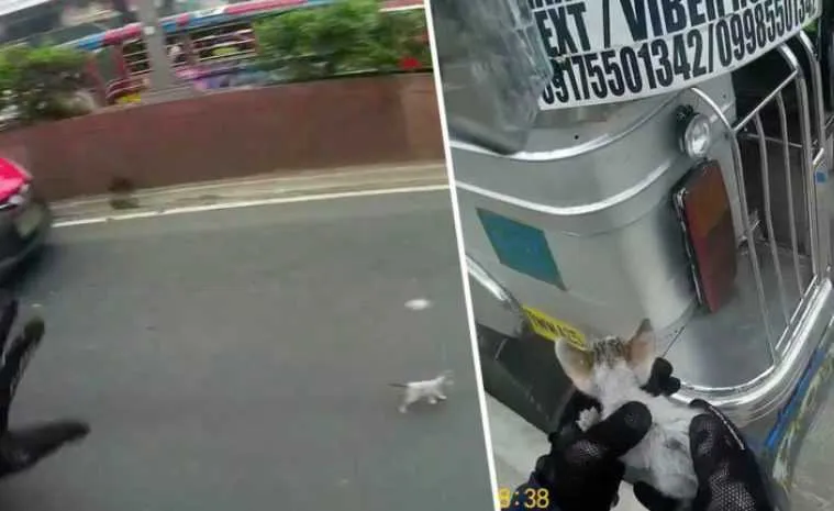 Screen Shot 2018 09 02 At 1.52.48 Pm