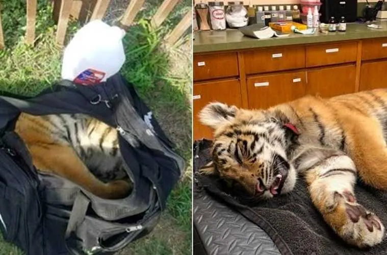 Screen Shot 2018 09 16 At 2.21.45 Am