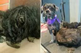 Screen Shot 2018 09 29 At 4.56.25 Pm