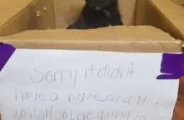 Screen Shot 2018 09 29 At 6.51.06 Pm