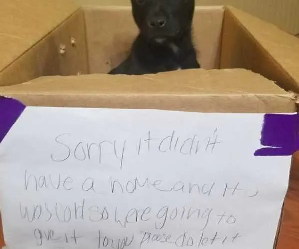 Screen Shot 2018 09 29 At 6.51.06 Pm