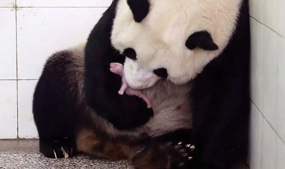 Screen Shot 2018 09 30 At 12.26.44 Am