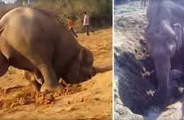 Screen Shot 2018 09 30 At 2.06.34 Am