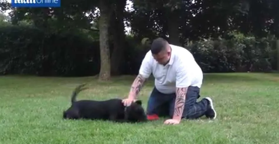 Screen Shot 2018 09 30 At 11.01.43 Pm