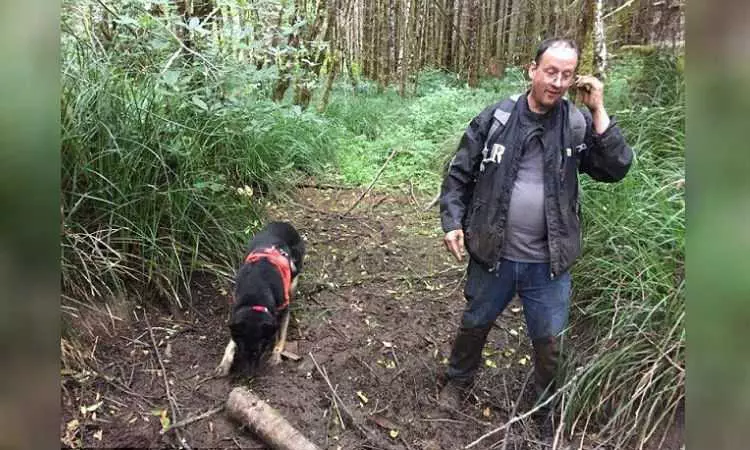 Dog Rescues Friend Stuck In Mud 101