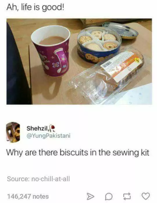 Funny Biscuits Sewing Kit