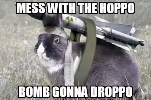 Funny Bomb Droppo