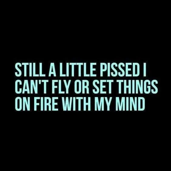 Funny Cant Fly Set