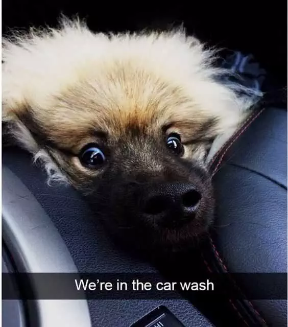 Funny Car Wash