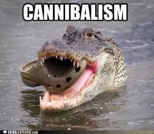 Funny Crocs