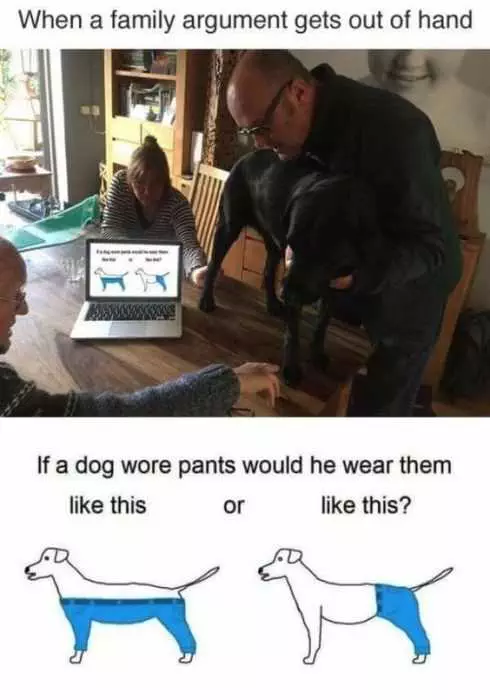 Funny Dog Petpants