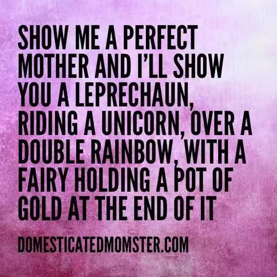 Funny Fairy Unicorn
