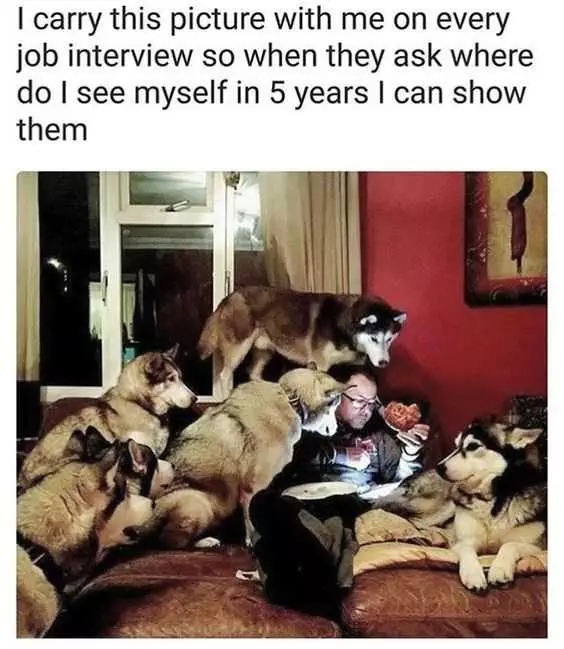 Funny Job Interview