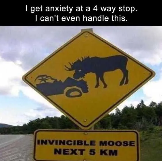 Funny Moose Sign