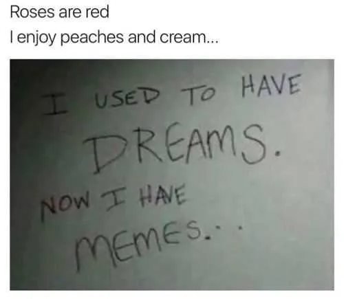 Funny Peaches Dreams