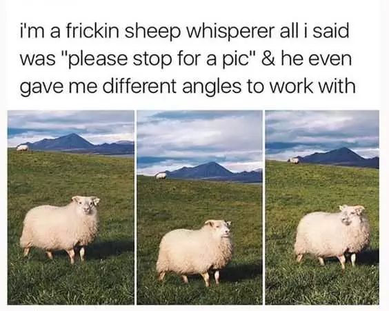 33 Funny And Sweet Animal Pictures For Your Week