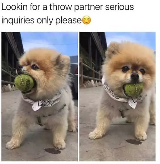 Funny Throw Partner