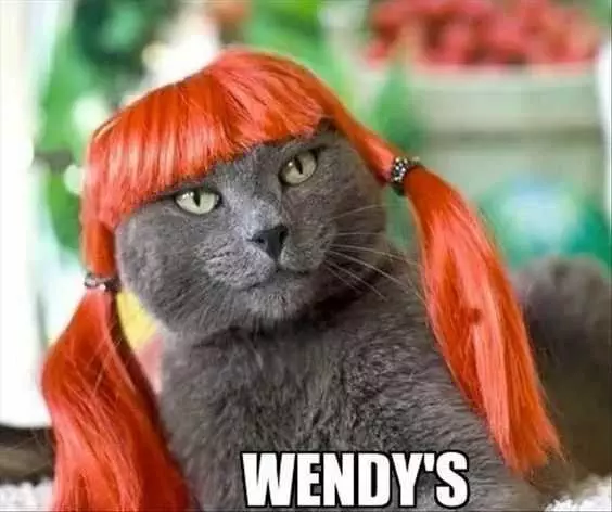 Funny Wendys Red