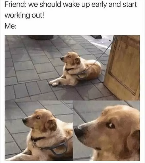 Funny Working Out No