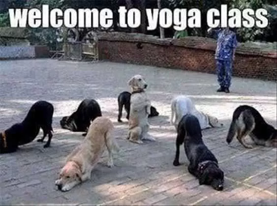 Funny Yoga Class